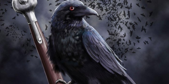 1920x1080 Raven Wallpaper for Android - APK Download