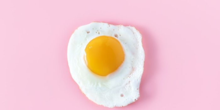 1000x1500 Eggs Pictures [HD] | Download Free Images on Unsplash