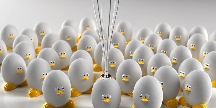 1600x1200 Free download Egg Wallpaper and Background Image 1600x1200 ID8534  [1600x1200] for your Desktop, Mobile & Tablet | Explore 31+ Egg Wallpapers  | Easter Egg Backgrounds, Egg Wallpapers, Easter Egg Wallpaper