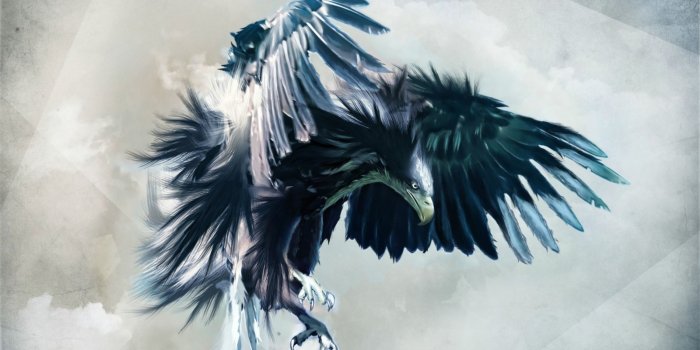 1600x900 Wallpaper's Collection: «Raven Wallpapers»
