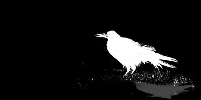 1366x768 Raven Backgrounds Group (78+)