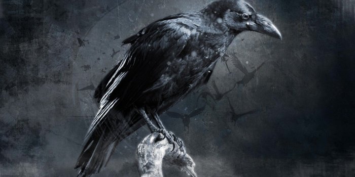 1920x1080 Dark Raven Wallpapers - Top Free Dark Raven Backgrounds - WallpaperAccess