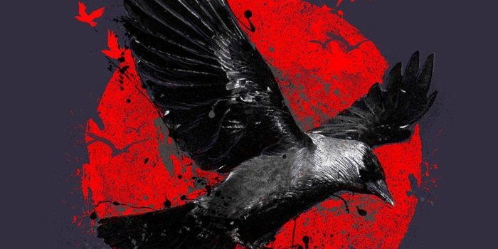 1080x1920 Abstract Raven Hd Wallpaper Android | Wallpaper, Estampas, Papeis de parede