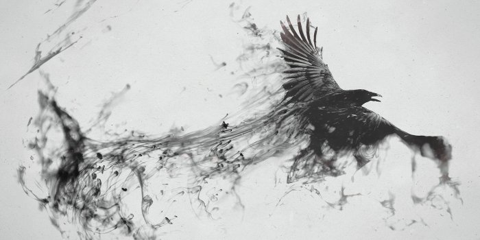 3840x2160 Hdwallpapers87.com - Download Smoke Raven Desktop Wallpaper. Free Smoke  Raven Phone Background Image.