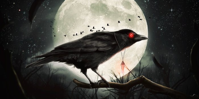 1332x850 Wallpaper night, Gothic, the moon, Raven, by destroyer971 images for  desktop, section рендеринг - download