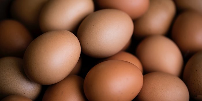 1200x806 Egg Wallpaper posted by Michelle Anderson