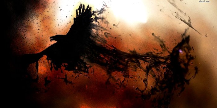 1270x721 The Raven Wallpapers | Mega Wallpapers