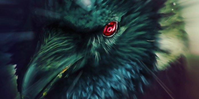 1920x1080 Wallpaper's Collection: «Raven Wallpapers»
