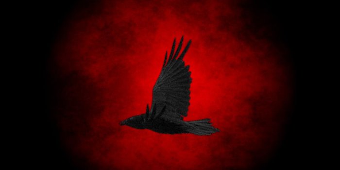 1024x768 45+] Dark Raven Wallpaper on WallpaperSafari