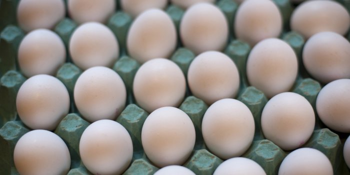 3000x1996 Egg Wallpapers - 3000x1996 Wallpaper - teahub.io