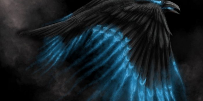 1600x1160 Wallpaper Ravens Bird