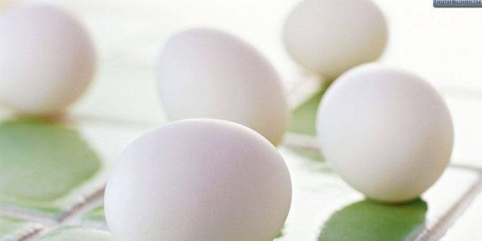 1920x1080 Eggs Wallpaper Hd - 1920x1080 Wallpaper - teahub.io
