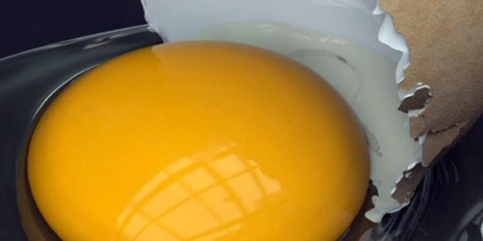 720x1280 broken egg Wallpaper HD Mobile, Desktop Wallpaper