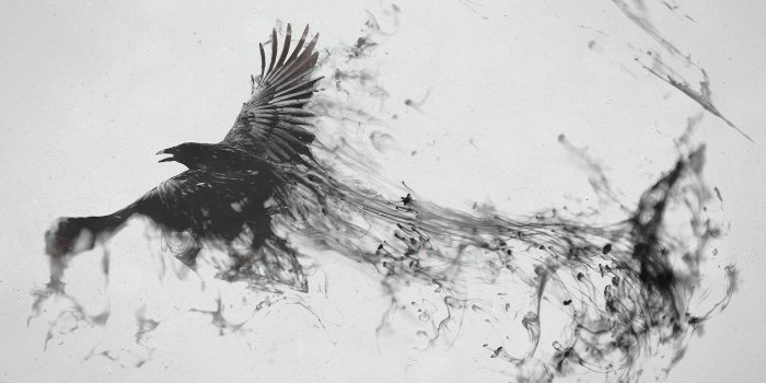 3840x2160 Wallpaper 4k Raven Bird Art 4k art wallpapers, artist wallpapers, bird  wallpapers, digital art wallpapers, raven wallpapers