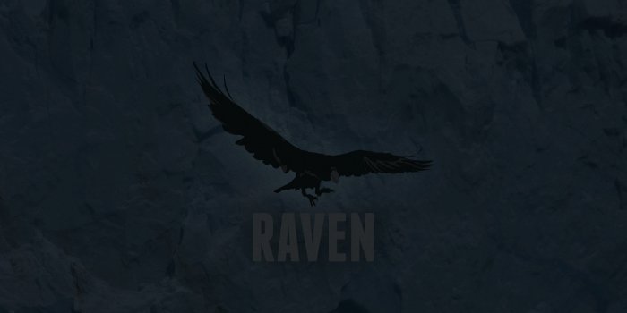2560x1440 Free download Custom HD 48 Raven Wallpapers Collection [2560x1440] for your  Desktop, Mobile & Tablet | Explore 71+ Raven Wallpaper | Baltimore Ravens  Wallpaper,