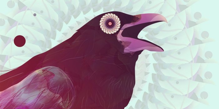 1920x1080 Raven wallpapers 1920x1080 Full HD (1080p) desktop backgrounds