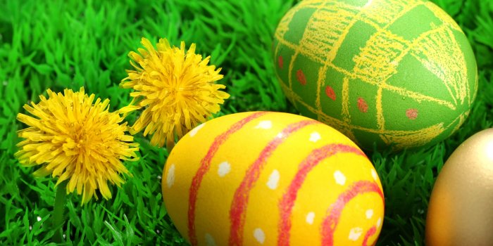 2560x1600 Two flowers and three easter eggs wallpapers | Two flowers and three easter  eggs stock photos