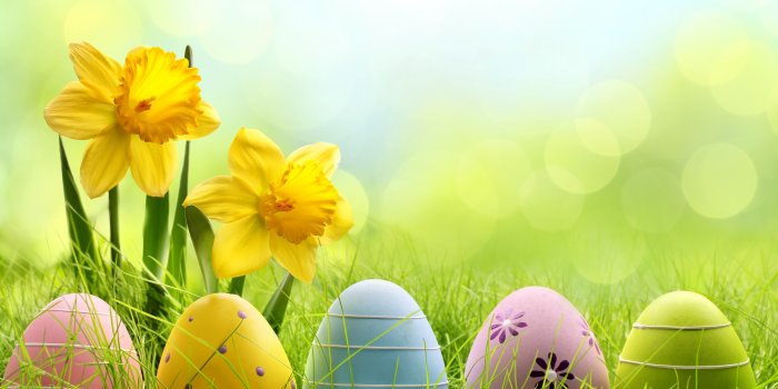5760x3840 1 Easter egg HD Wallpapers & Backgrounds