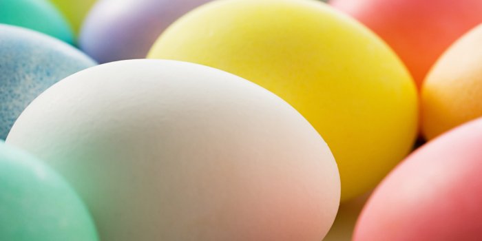 1280x1024 70+] Easter Egg Wallpaper Desktop on WallpaperSafari