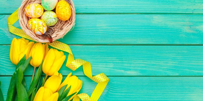 1280x853 Desktop Wallpapers Easter Eggs Nest Tulips Yellow flower Template