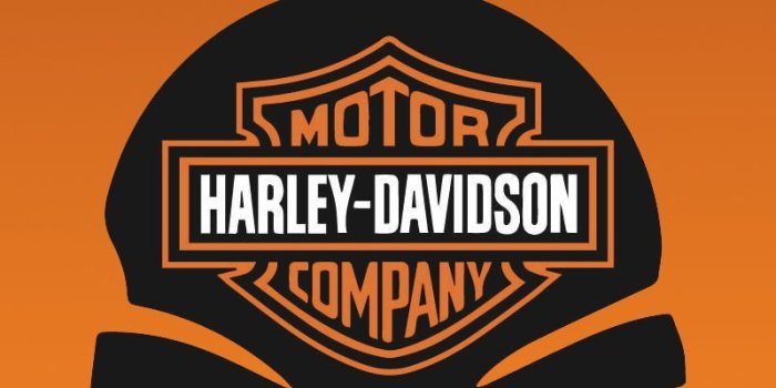 800x2000 Harley Phone Wallpapers | Harley davidson wallpaper, Harley davidson  stickers, Harley davidson artwork