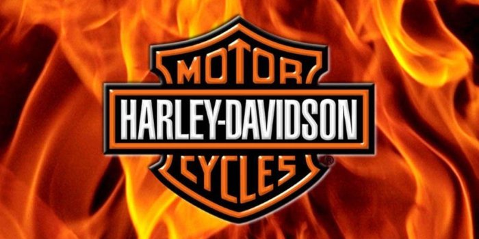 1024x768 HD Harley Davidson Logo | Harley davidson wallpaper, Harley davidson  quotes, Harley davidson bikes
