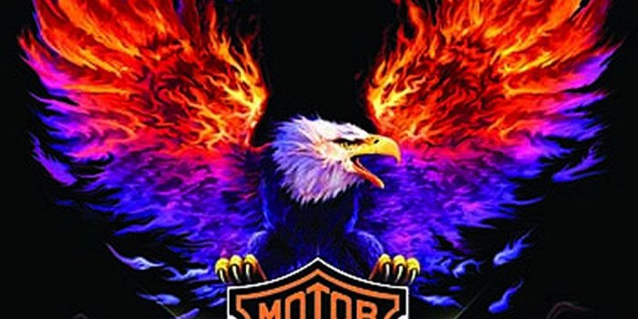 1050x1400 Free Harley Davidson Wallpapers Group (55+)