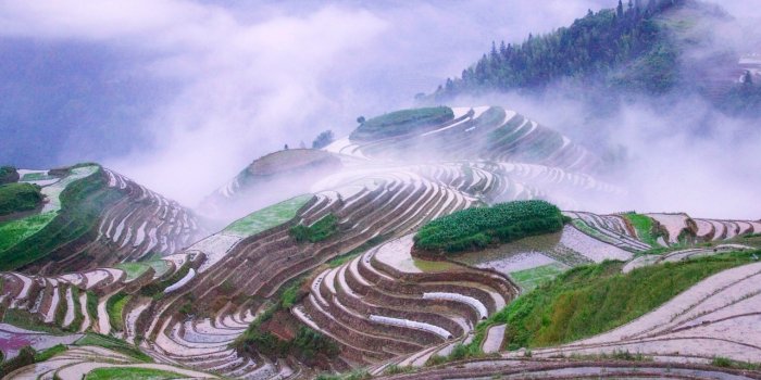 1280x804 Rice Terraces Asia wallpapers | Rice Terraces Asia stock photos