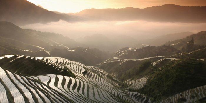 1280x804 Amazing Rice Terraces Asia wallpapers | Amazing Rice Terraces Asia stock  photos