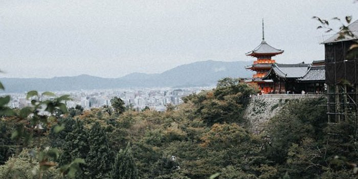 736x1308 13 iPhone X Wallpapers Of The Prettiest Asian Destinations | Preppy  Wallpapers | Iphone wallpaper japan, Android wallpaper, Iphone wallpaper  tokyo