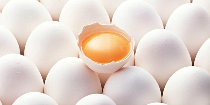 1024x768 Egg Wallpapers - Top Free Egg Backgrounds - WallpaperAccess
