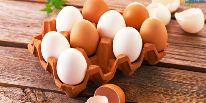 1920x1080 Eggs Wallpapers, Photos & Images in HD