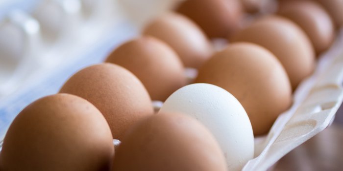 1024x768 Eggs wallpaper | 1024x768 | #44948