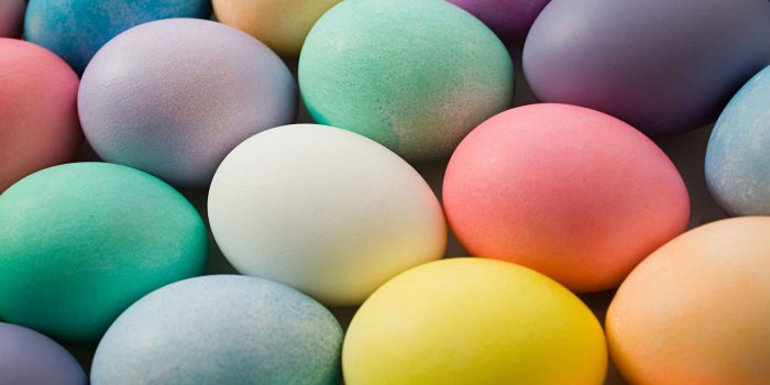 2560x1600 63+] Easter Egg Wallpaper Free on WallpaperSafari