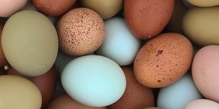 1394x2477 Wallpapers Phone&Pad HD on 9:16 Phone | Cute wallpaper for phone,  Wine wallpaper, Easter egg basket