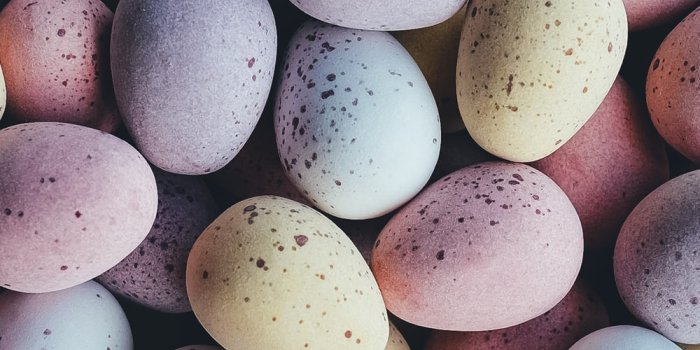 1000x1256 Easter Wallpapers: Free HD Download [500+ HQ] | Unsplash