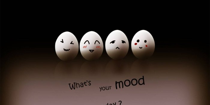 1440x1280 Cute Eggs wallpaper by Mrs_Policeman - e9 - Free on ZEDGE™