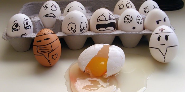 1920x1200 Funny Egg Wallpaper
