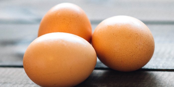 1600x1024 Food, Eggs, HD Wallpaper, High Resolution Background Images, Desktop Images  Of Windows, Download Wallpaper, Best Wallpaper Ever, Images, Free Stock  Photos, Pictures, 1600x1024 | Full HD Wallpapers
