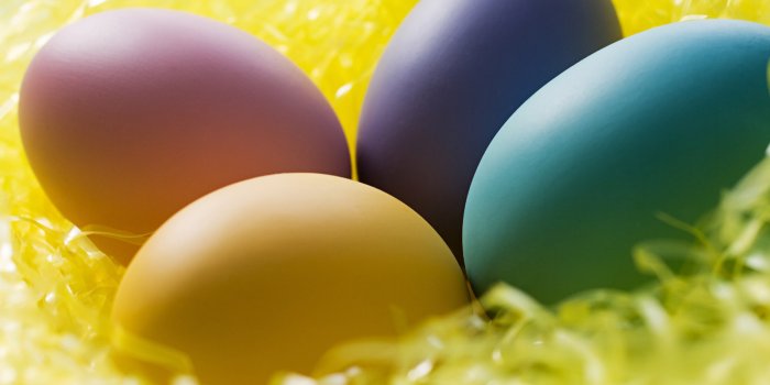 1600x1200 Eggs Wallpaper #6839121
