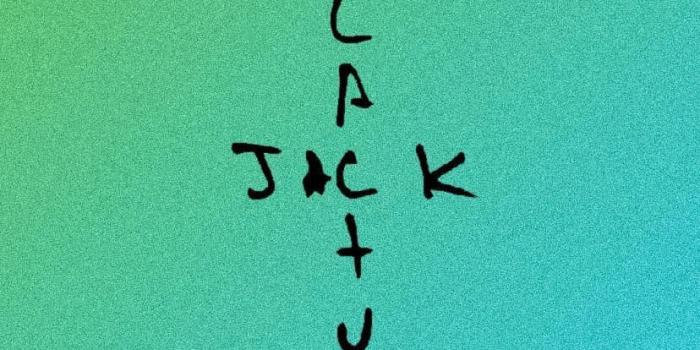 828x1472 Cactus Jack Wallpaper for mobile phone, tablet, desktop computer and other  devices HD and 4K wallpapers. | Cactus jack wallpaper, Hypebeast wallpaper, Cactus  jack