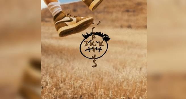 655x1280 Cactus Jack wallpaper by k3nny_designs - 63 - Free on ZEDGE™