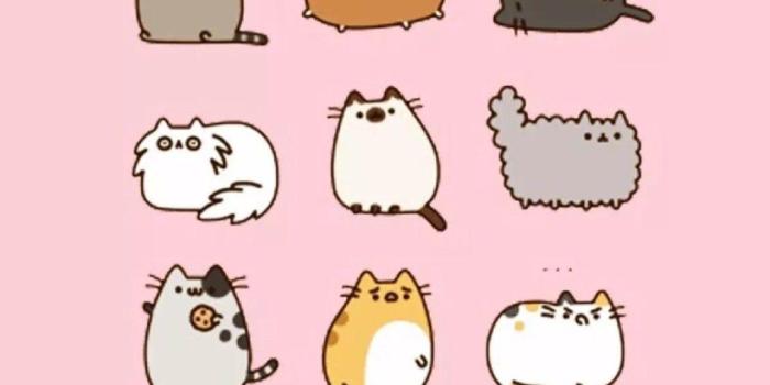 1082x1920 Pusheen iPhone Wallpapers
