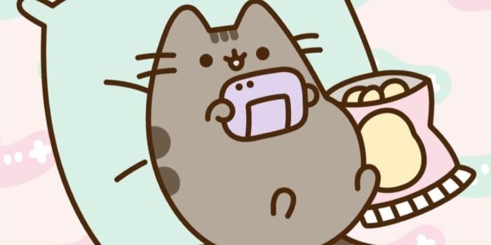 1080x1920 Pusheen Wallpaper - EnJpg