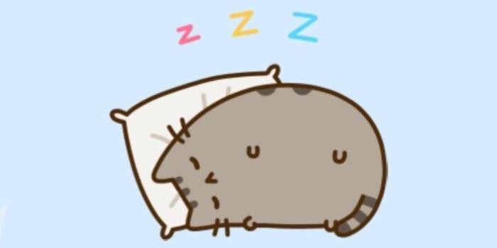 720x1280 Pusheen Wallpaper - NawPic