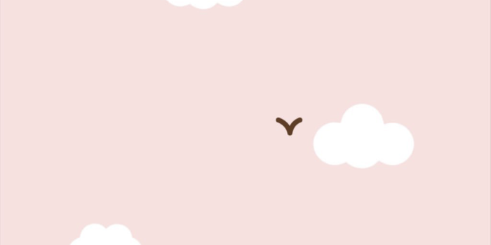 1242x2208 Pusheen Cat Summer Wallpapers
