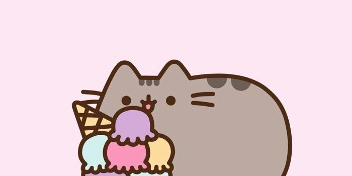 1080x1920 Pusheen Desktop Wallpaper Best Of Pusheen Wallpapers ·① Wallpapertag Ideas  - Left of The Hudson