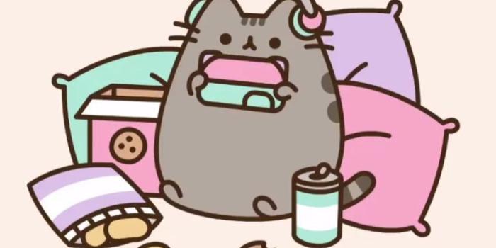 736x1308 Pusheen Food Wallpapers - Top Free Pusheen Food Backgrounds -  WallpaperAccess