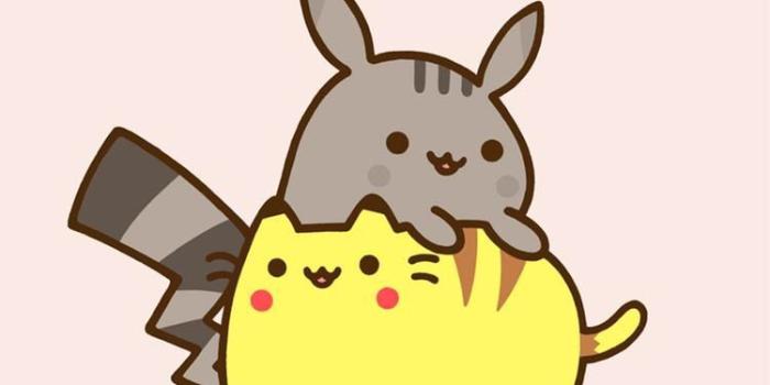 750x1334 Cute pusheen Wallpaper - Wallpaper Sun