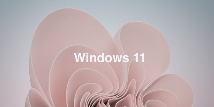 1552x970 Leak Alert! You Can Now Download Windows 11 Wallpaper